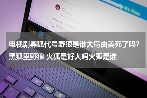 电视剧黑狐代号野狼是谁大岛由美死了吗？黑狐里野狼 火狐是好人吗火狐是谁