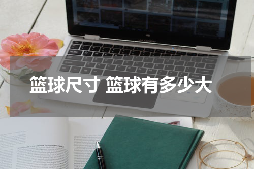 篮球尺寸 篮球有多少大