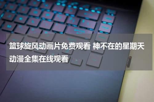 篮球旋风动画片免费观看 神不在的星期天动漫全集在线观看