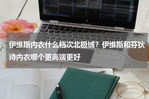 伊维斯内衣什么档次北极绒？伊维斯和芬狄诗内衣哪个更高端更好