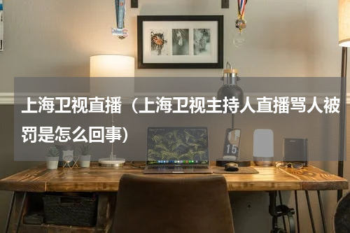 上海卫视直播（上海卫视主持人直播骂人被罚是怎么回事）