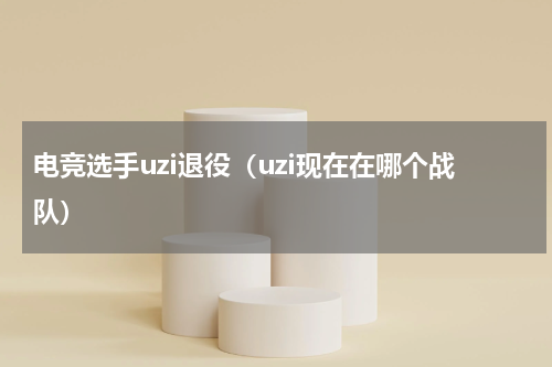 电竞选手uzi退役（uzi现在在哪个战队）