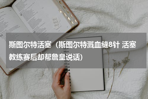 斯图尔特活塞（斯图尔特溅血缝8针 活塞教练赛后却帮詹皇说话）