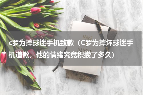c罗为摔球迷手机致歉（C罗为摔坏球迷手机道歉，他的情绪究竟积攒了多久）
