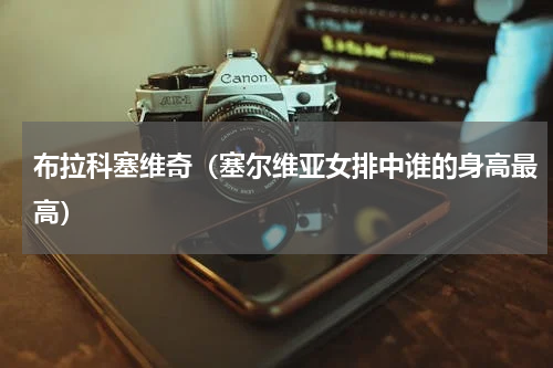 布拉科塞维奇（塞尔维亚女排中谁的身高最高）