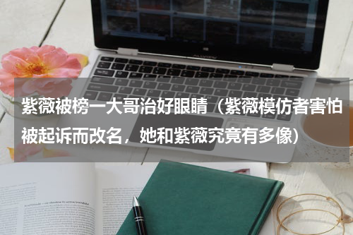 紫薇被榜一大哥治好眼睛（紫薇模仿者害怕被起诉而改名，她和紫薇究竟有多像）