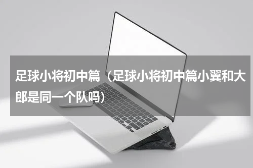 足球小将初中篇（足球小将初中篇小翼和大郎是同一个队吗）