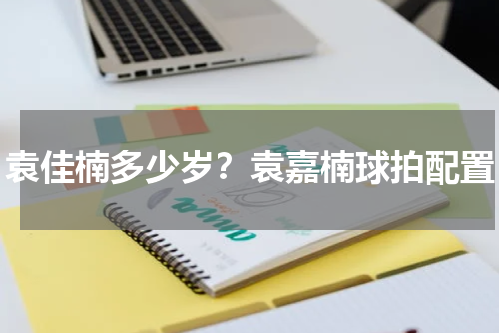 袁佳楠多少岁？袁嘉楠球拍配置