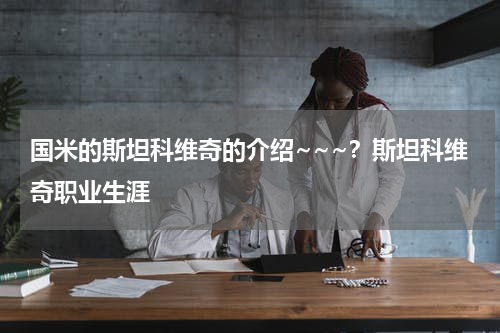 国米的斯坦科维奇的介绍~~~？斯坦科维奇职业生涯
