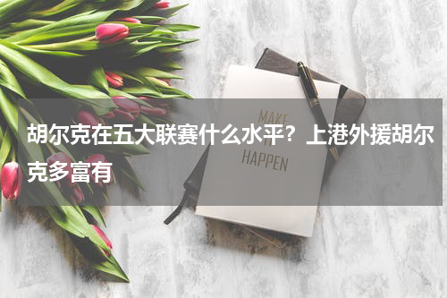 胡尔克在五大联赛什么水平？上港外援胡尔克多富有