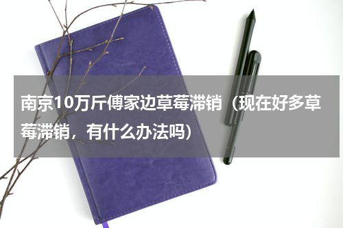 南京10万斤傅家边草莓滞销（现在好多草莓滞销，有什么办法吗）