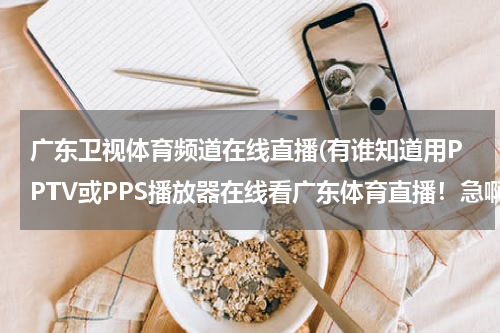 广东卫视体育频道在线直播(有谁知道用PPTV或PPS播放器在线看广东体育直播！急啊~~~~~)