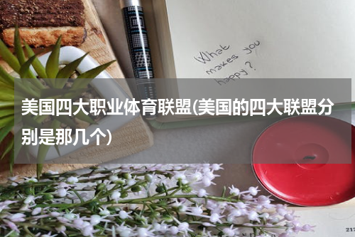 美国四大职业体育联盟(美国的四大联盟分别是那几个)
