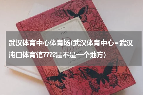 武汉体育中心体育场(武汉体育中心=武汉沌口体育馆????是不是一个地方)