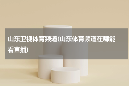 山东卫视体育频道(山东体育频道在哪能 看直播)