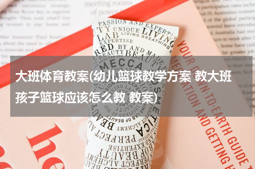大班体育教案(幼儿篮球教学方案 教大班孩子篮球应该怎么教 教案)