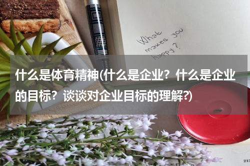 什么是体育精神(什么是企业？什么是企业的目标？谈谈对企业目标的理解?)