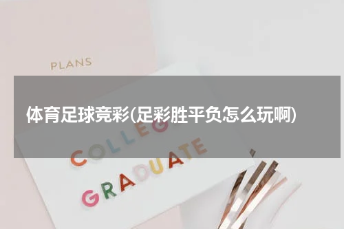 体育足球竞彩(足彩胜平负怎么玩啊)