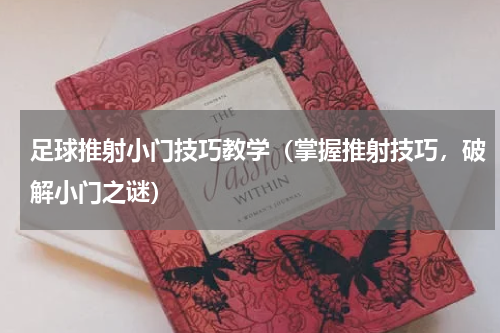 足球推射小门技巧教学（掌握推射技巧，破解小门之谜）