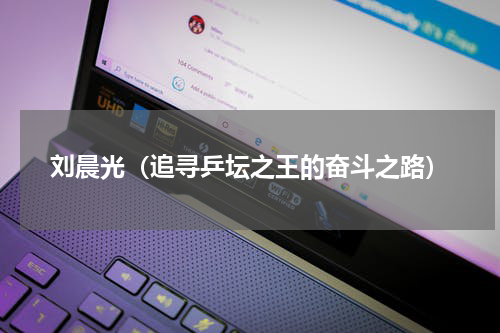 刘晨光（追寻乒坛之王的奋斗之路）