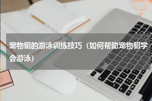 宠物貂的游泳训练技巧（如何帮助宠物貂学会游泳）
