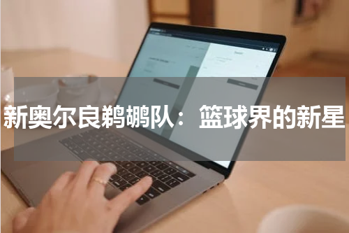新奥尔良鹈鹕队：篮球界的新星