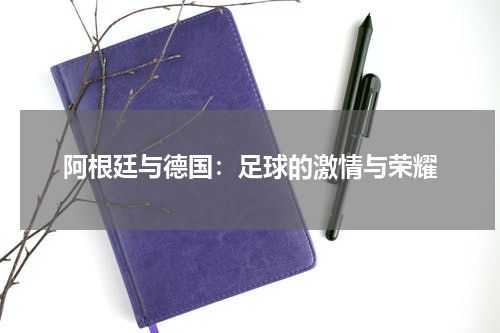 阿根廷与德国：足球的激情与荣耀