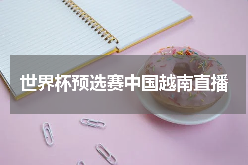 世界杯预选赛中国越南直播