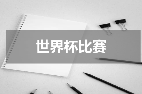 世界杯比赛