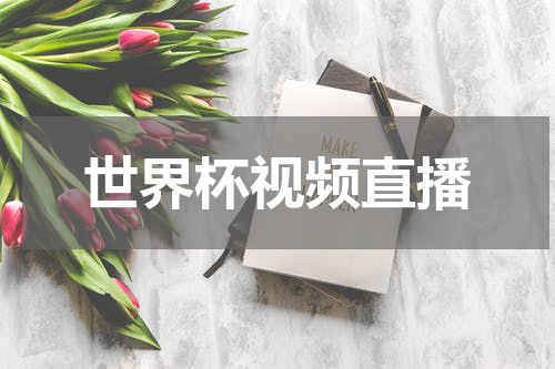 世界杯视频直播