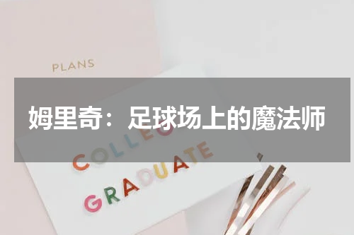 姆里奇：足球场上的魔法师