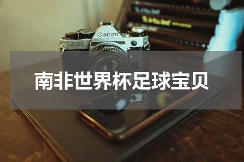南非世界杯足球宝贝