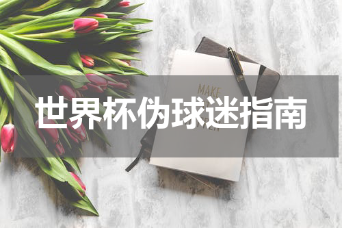 世界杯伪球迷指南