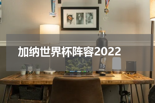 加纳世界杯阵容2022