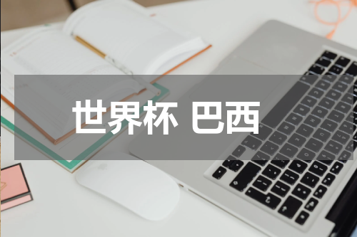 世界杯 巴西