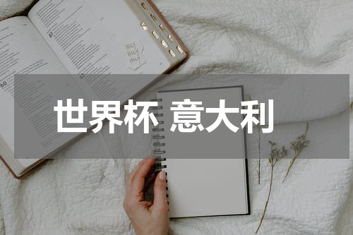 世界杯 意大利