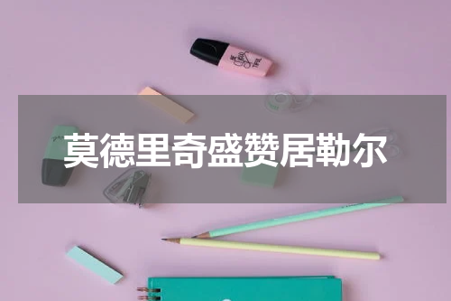 莫德里奇盛赞居勒尔