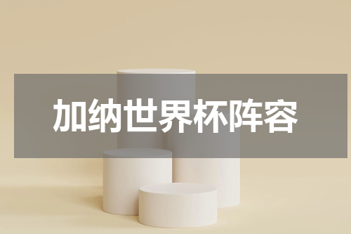 加纳世界杯阵容