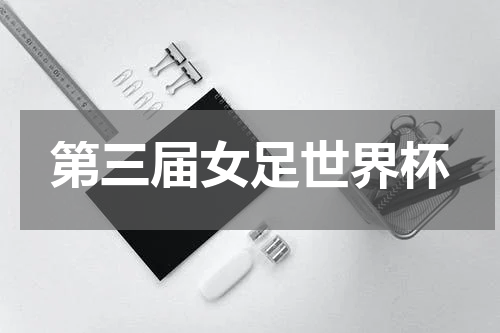 第三届女足世界杯