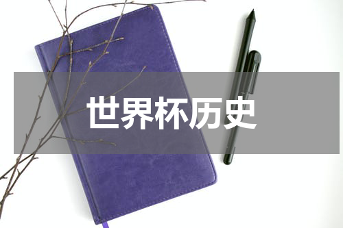世界杯历史