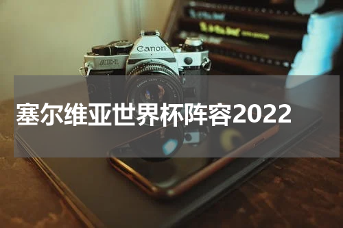 塞尔维亚世界杯阵容2022
