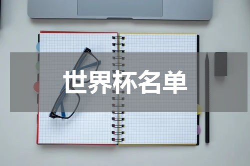 世界杯名单