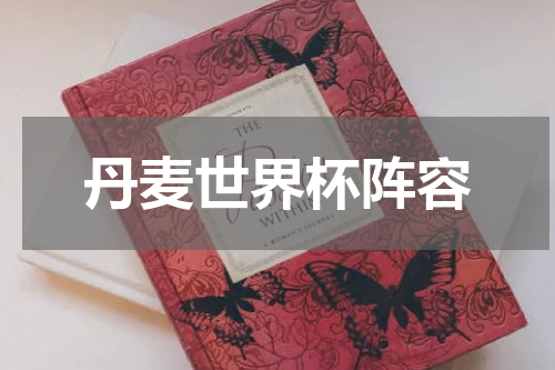 丹麦世界杯阵容
