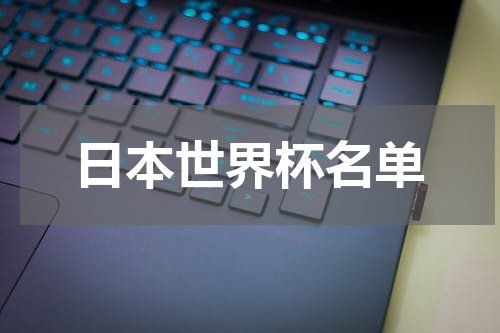 日本世界杯名单