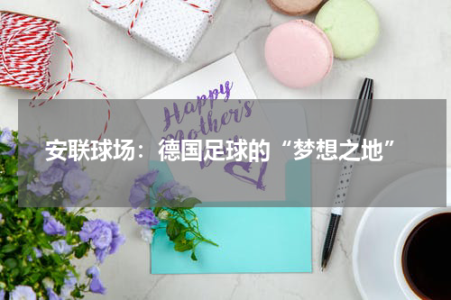 安联球场：德国足球的“梦想之地”