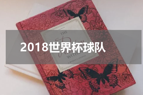 2018世界杯球队