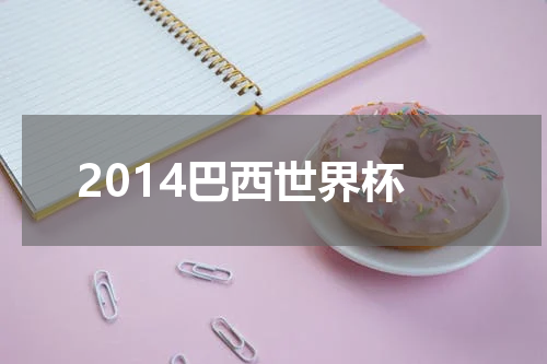 2014巴西世界杯