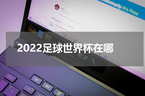 2022足球世界杯在哪