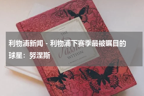 利物浦新闻 - 利物浦下赛季最被瞩目的球星：努涅斯