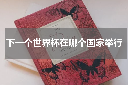 下一个世界杯在哪个国家举行